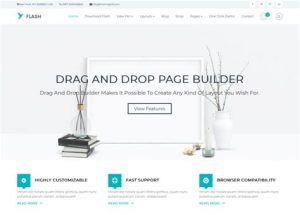 E-Ticaret Siteniz İçin En İyi WordPress Temaları