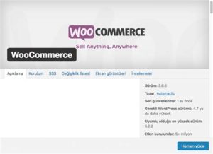Kendi E-Ticaret Sitenizi Kurmak İçin Ideal WordPress Temaları