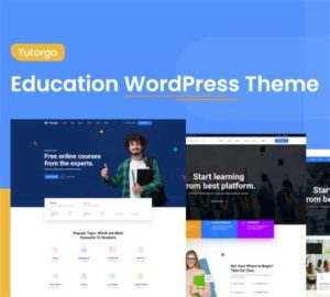 wordpress eğitim