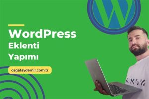 wordpress eklenti