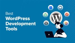 wordpress geliştirme