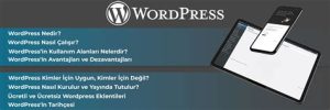 wordpress rehberi