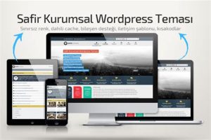 wordpress temaları